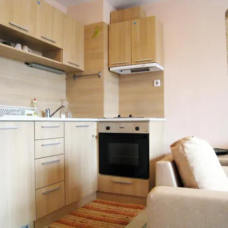 Solar Nest With Fireplace And Panoramic View 700m From Skilift And Centrum Apartment