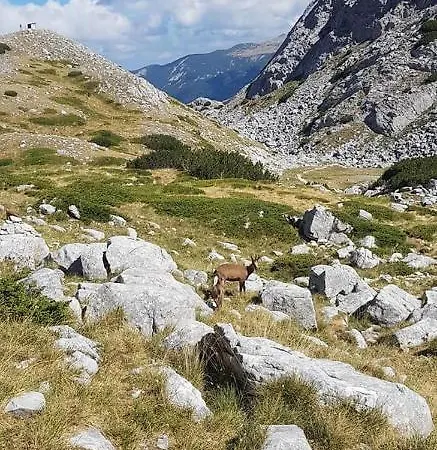 Solar Nest With Fireplace And Panoramic View 700m From Skilift And Centrum *