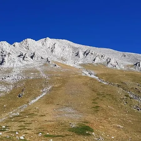 Solar Nest With Fireplace And Panoramic View 700m From Skilift And Centrum 公寓 班斯科